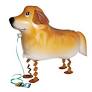 Airwalker Golden Retriever